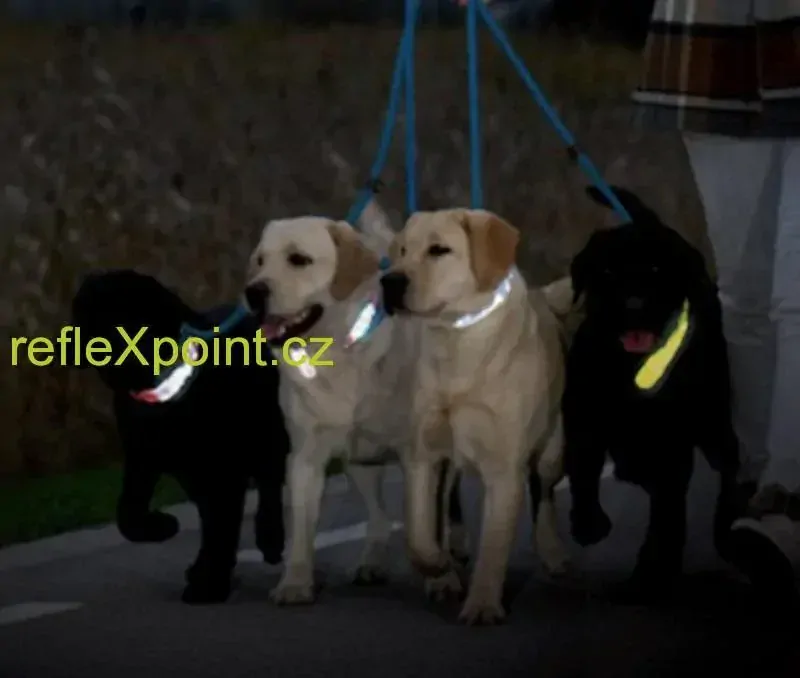 Reflexní doplněk k obojku pro psy - Snoopy Comics